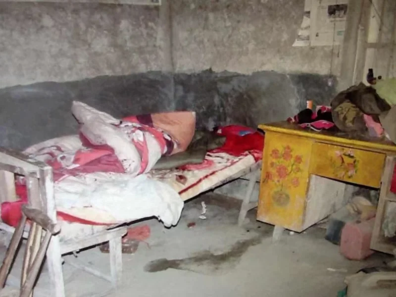 图片 2.png?x-oss-process=style/resize